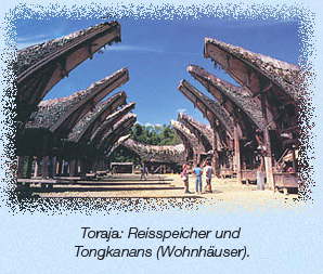 Toraja-H&auml;user in Sulawesi