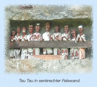 Ahnengalerie bei Lemo im Toraja-Land (Sulawesi)